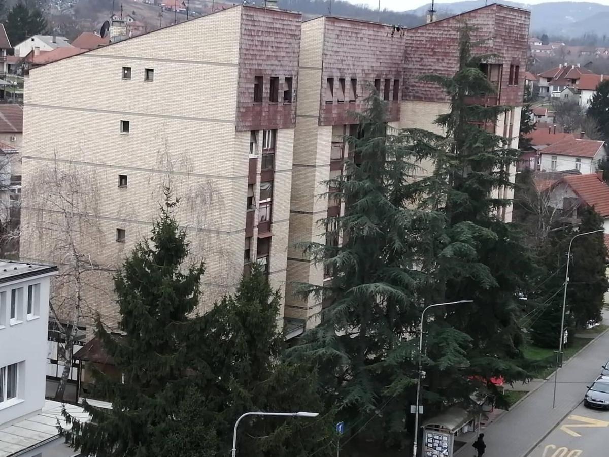Apartman Vesna Banja Koviljača Buitenkant foto